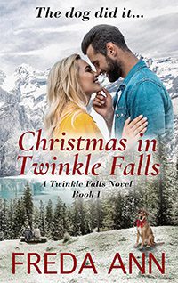 Christmas in Twinkle Falls by Freda Ann book cover